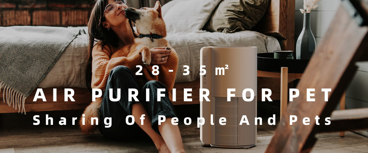 China best Pet Air Purifier on sales