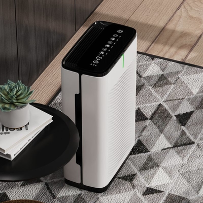 Activated Carbon Filter Air Purifier For Pet Hair And Dander