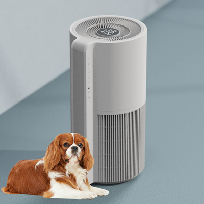 Covid Hepa Filter Room Air Purifier For Pet Dander Fresh Healthier Environment